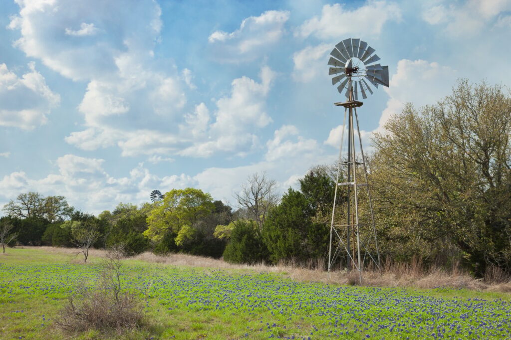 Old Windmill with Trees and Bluebonnets in the Texas Hill Country