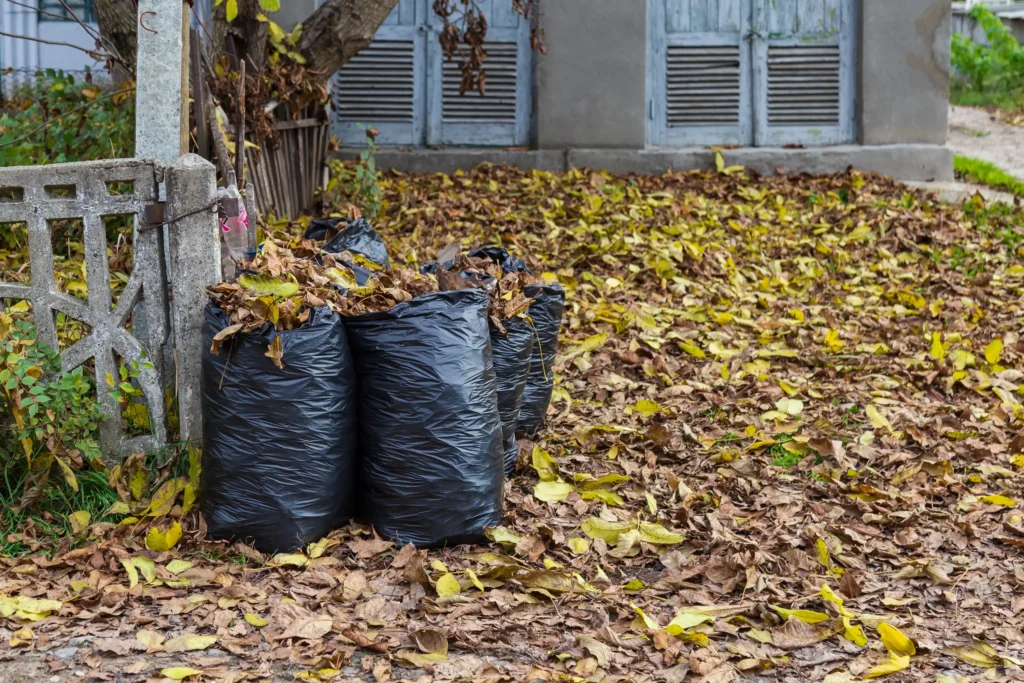 yard waste removal